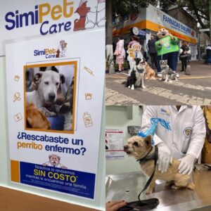 Veterinaria del Dr. Simi ofrece atención gratuita a perritos rescatados de la calle