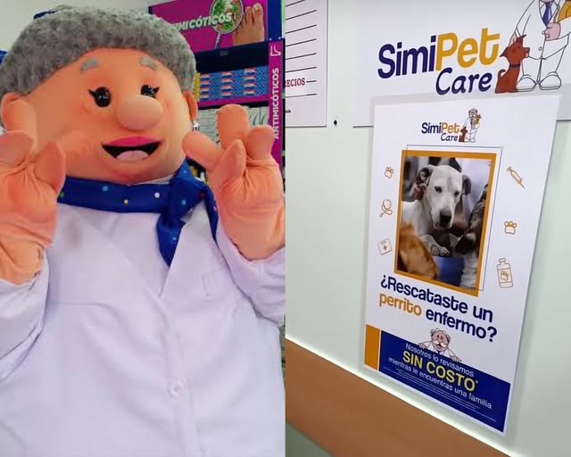 Veterinaria del Dr. Simi ofrece atención gratuita a perritos rescatados de la calle