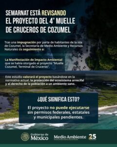 Semarnat cuarto muelle en Cozumel 8