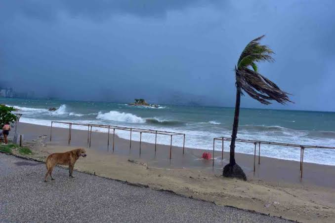 Tormenta Tropical Dalila