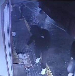 Denuncian a hombre que golpeó a un perrito con una botella mientras dormía
