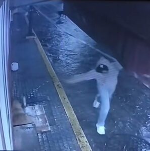 Denuncian a hombre que golpeó a un perrito con una botella mientras dormía