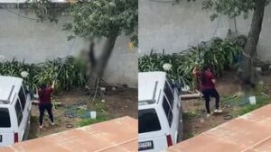 Denuncian a mujer por ahorcar a perrito y colgarlo como piñata