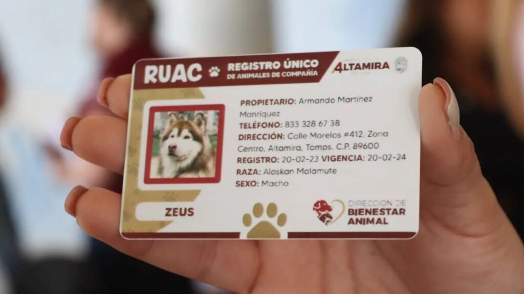 RUAC: ¿Ya registraste a tu mascota? Evita multas de hasta 3 mil pesos
