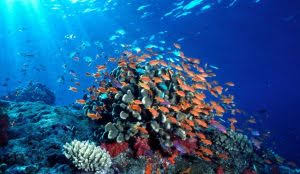 images 2025 06 11T103835.868