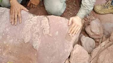 Yacimiento paleontológico en Jujuy revela más de 500 huellas de dinosaurios