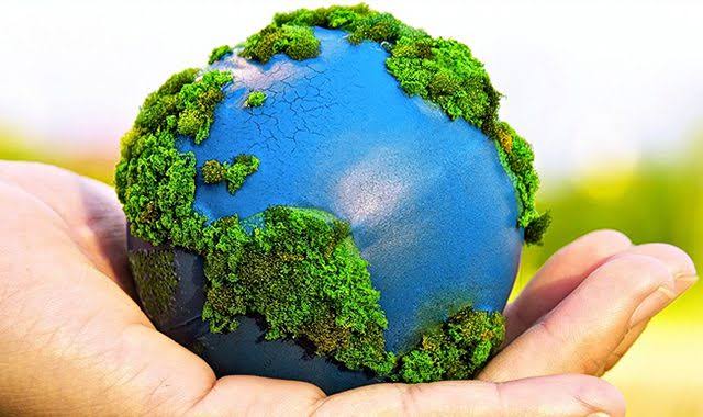 Día del Medio Ambiente 2025: Historia, significado y actividades del 5 de junio
