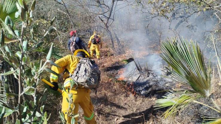 Guerrero enfrenta grave crisis ambiental tras huracanes