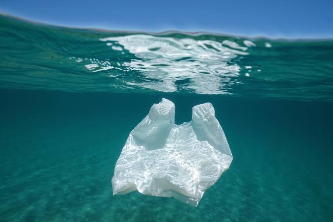 ¿Es posible un plástico que se desintegre en el océano sin contaminar? Japón ya lo logró