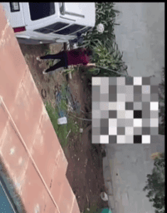 Denuncian a mujer por ahorcar a perrito y colgarlo como piñata