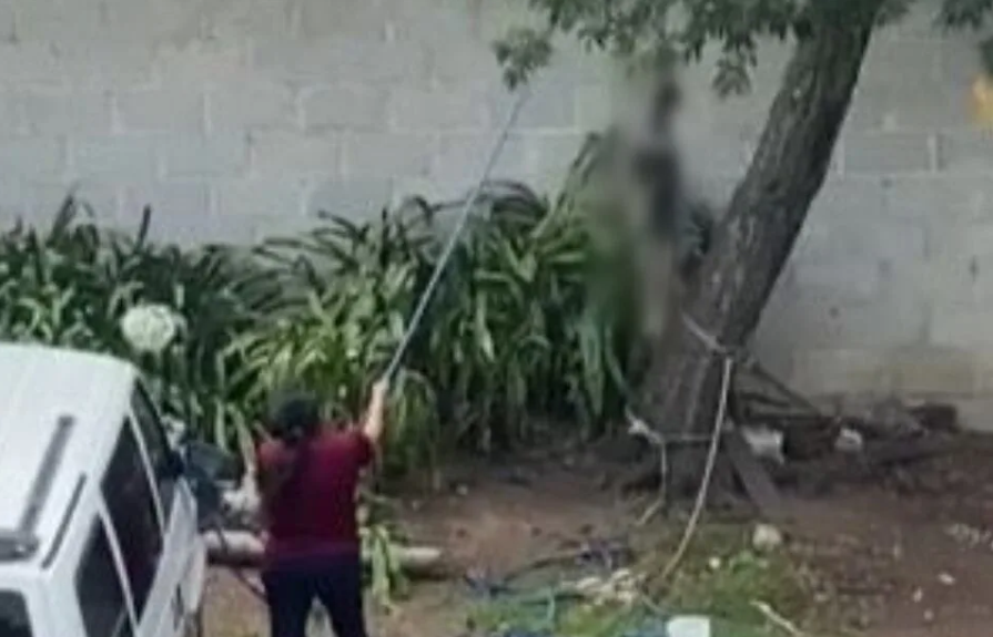 Denuncian a mujer por ahorcar a perrito y colgarlo como piñata