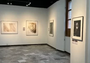Ropa y objetos de Frida Kahlo son parte de una exposición fotográfica