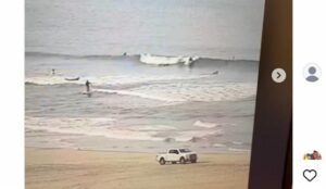 Tiburón volador choca contra el rostro de un turista 