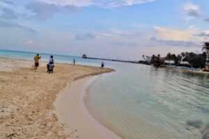 Playas de Isla Mujeres lucen limpias y libres de sargazo