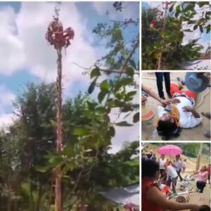 Ritual de los Voladores de Papantla queda suspendido en Veracruz 