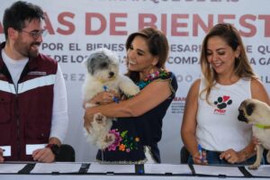 Realizan primera Caravana del Bienestar Animal con 50 esterilizaciones para perritos