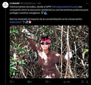 Chelemeras: Mujeres que lideran la restauración de manglares en México
