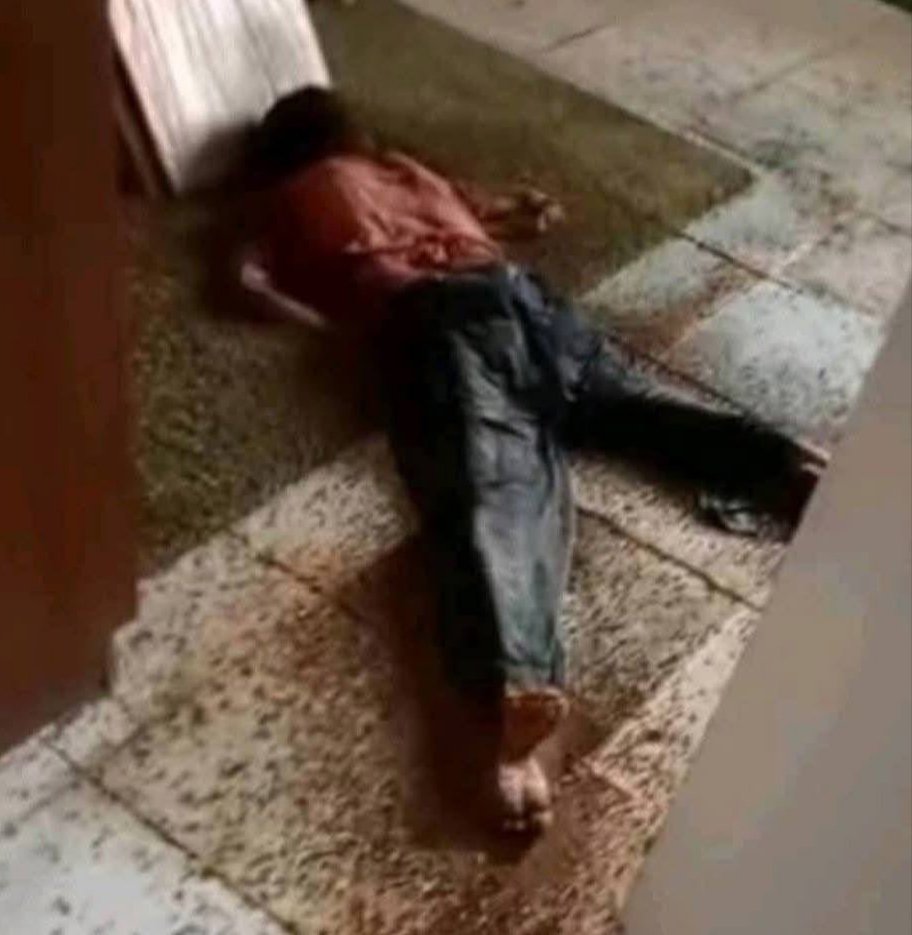 Actriz es encontrada sin vida tras 9 meses desaparecida