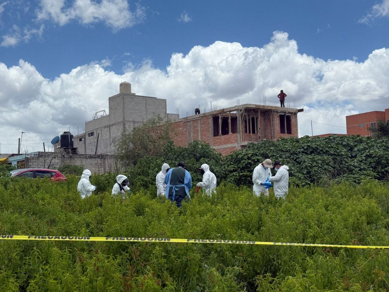 Puebla exhuma a perrito por caso de crueldad animal
