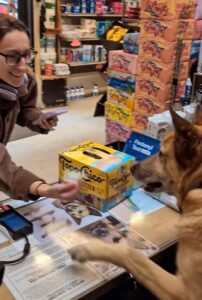 Major, el perrito que atiende una tienda y conquista las redes sociales 
