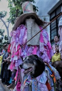 Mazapán, el perrito que vuelve a brillar en la Guelaguetza 2025