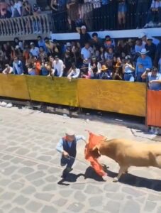 Toro desprende el rostro de un hombre en una feria de Veracruz