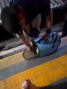 Lomito muere por asfixia tras ser obligado a viajar en maletero de autobús