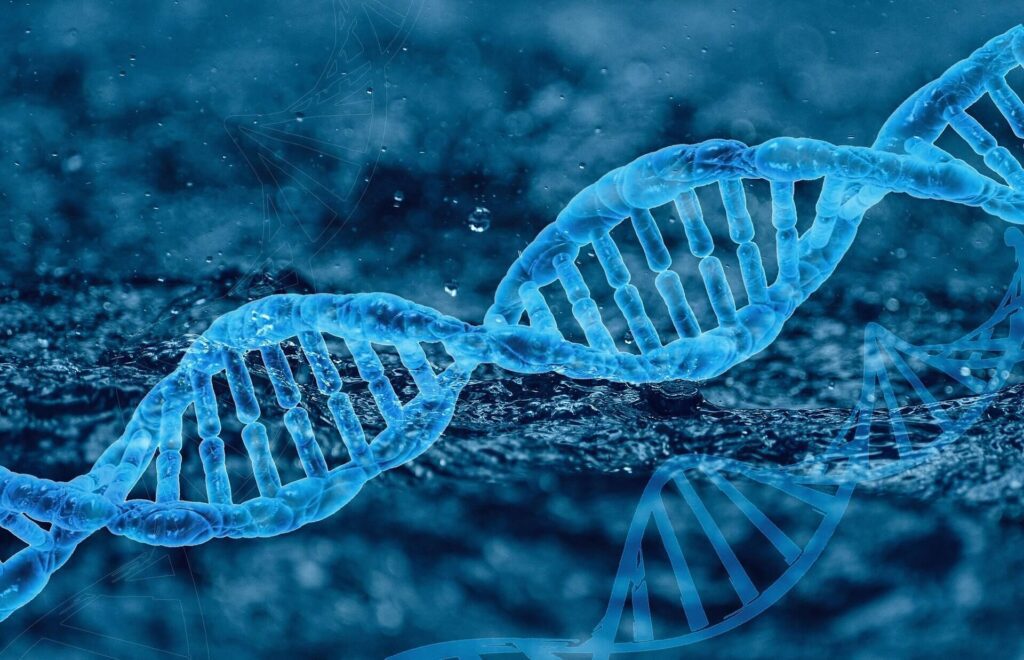 Oxford y Cambridge lideran la creación del primer genoma humano artificial