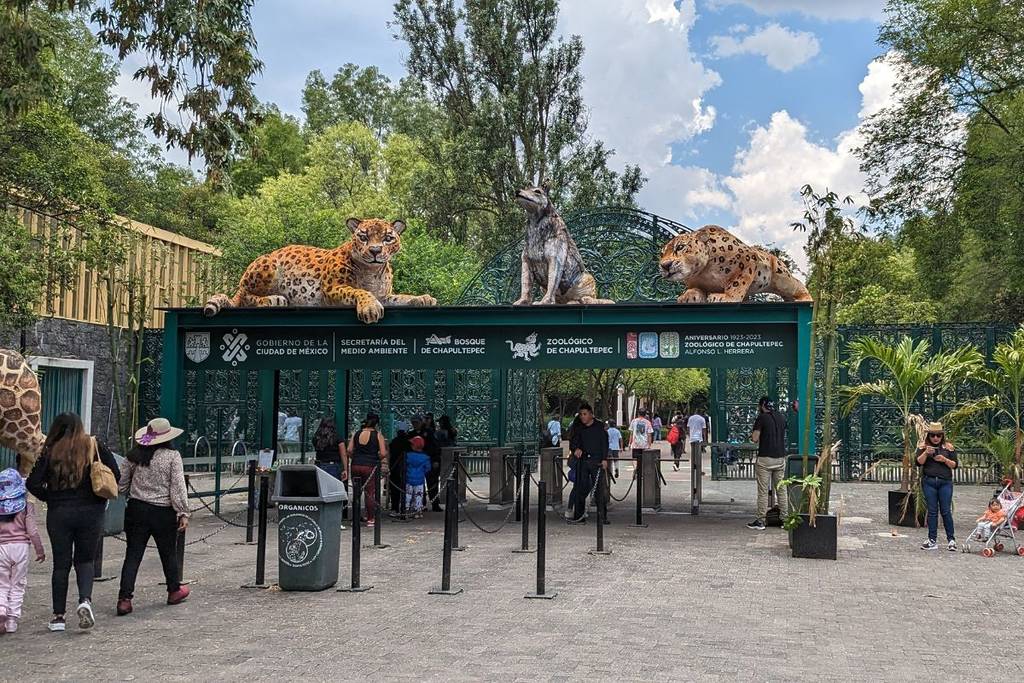 Zoológico de Chapultepec celebra 102 años: Historia, animales emblemáticos y evolución