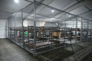 "Alligator Alcatraz", la nueva prisión para migrantes de Trump