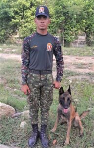 Perrito se queda sin una pata tras salvar a 36 soldados de una bomba 