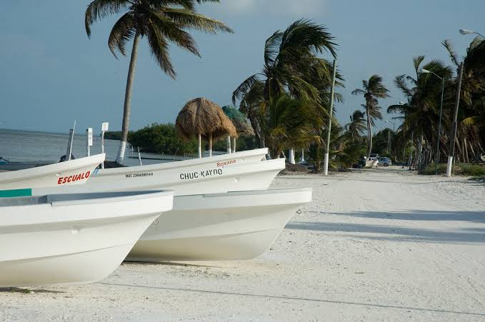 images 22