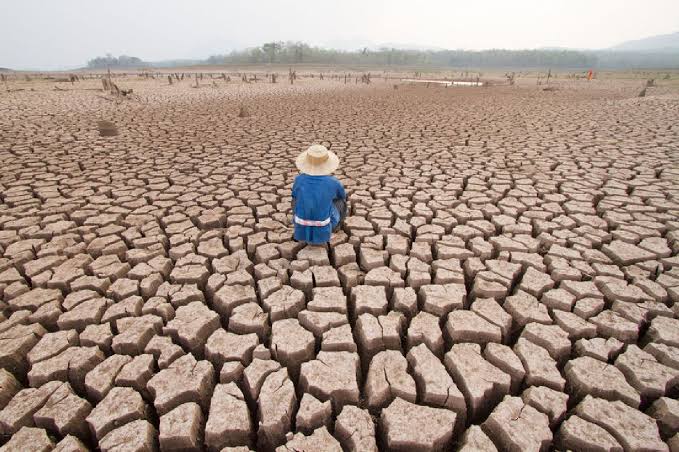 Países podrían enfrentar sanciones por no frenar el cambio climático, advierte la Corte de la ONU