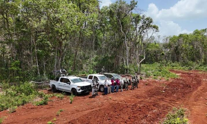 Menonitas devastan más de 2,600 hectáreas de selva en la Península de Yucatán
