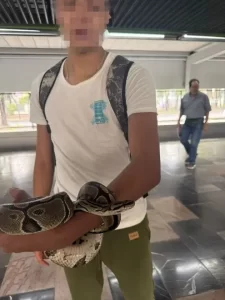 Joven metió una serpiente al metro de CDMX y fue detenido 