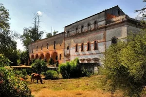 jpg arton23466