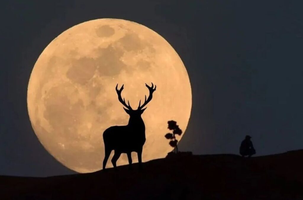 Luna de Ciervo 2025: Fecha, hora y tips para tomarle foto en México