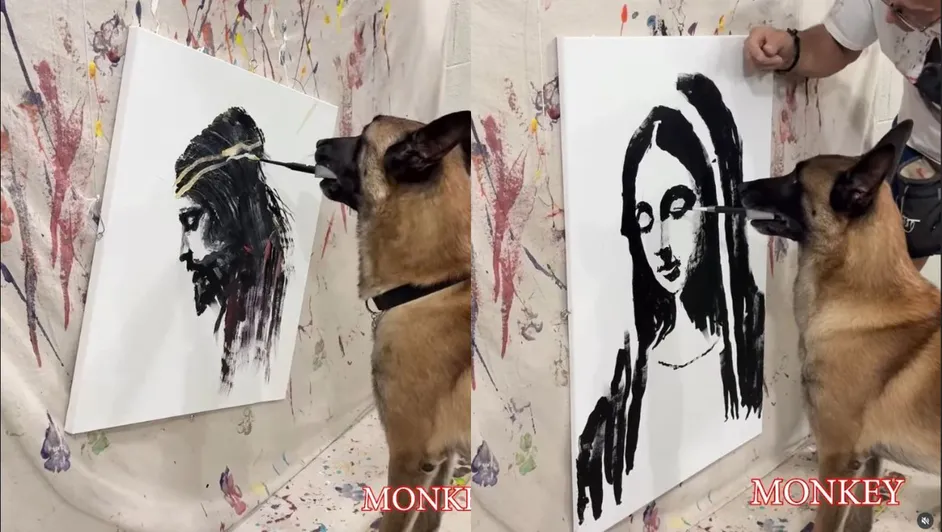 monkey perrito pintor vuelve viral