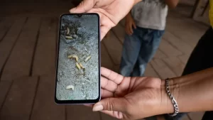 Muere primera persona por gusano barrenador en México 