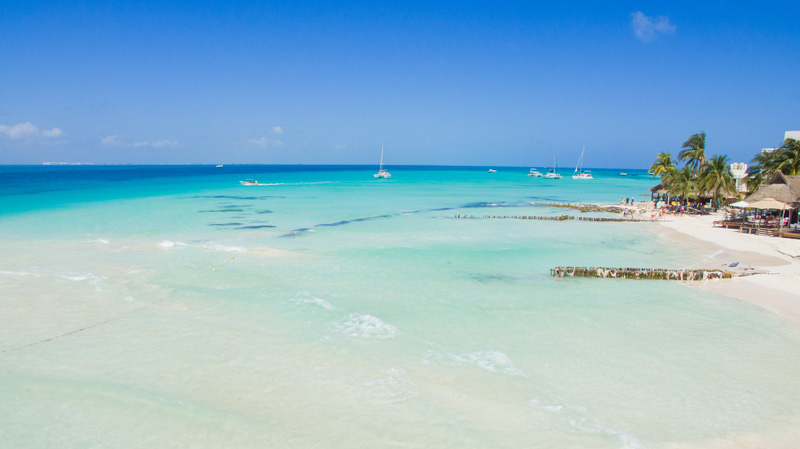 ZOFEMAT y voluntarios combaten sargazo y residuos en playas de Isla Mujeres