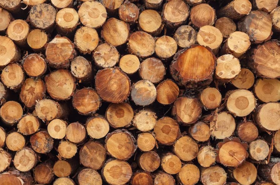 Así funciona la técnica de enterrar residuos de madera para combatir el cambio climático
