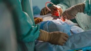 China realiza el primer trasplante de pulmón de cerdo a humano