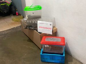 Profepa asegura 55 animales silvestres en tienda de mascotas 