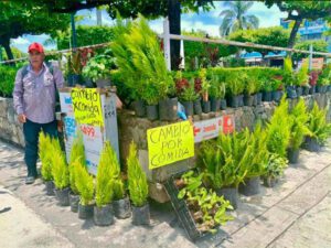 Un abuelito de 61 años  de Veracruz  encontró en el trueque de plantas una manera de enfrentar la falta de empleo