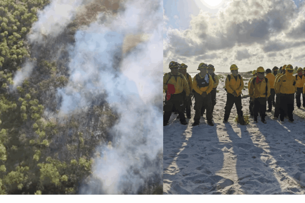 Suman esfuerzos para sofocar el incendio en Holbox
