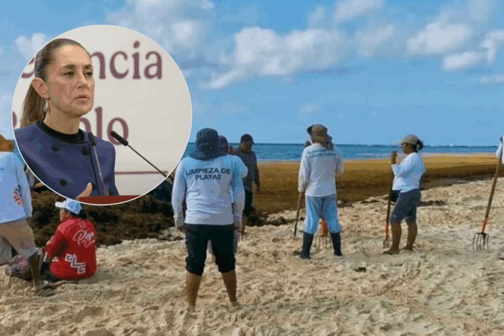 Arribo de sargazo a playas de Quintana Roo, no ha afectado la llegada de turistas: Sheinbaum