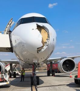 Avión choca con un buitre y aterriza de emergencia en Madrid