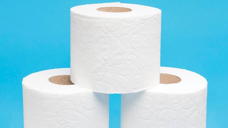 Ahuyenta mosquitos con este truco de papel higiénico