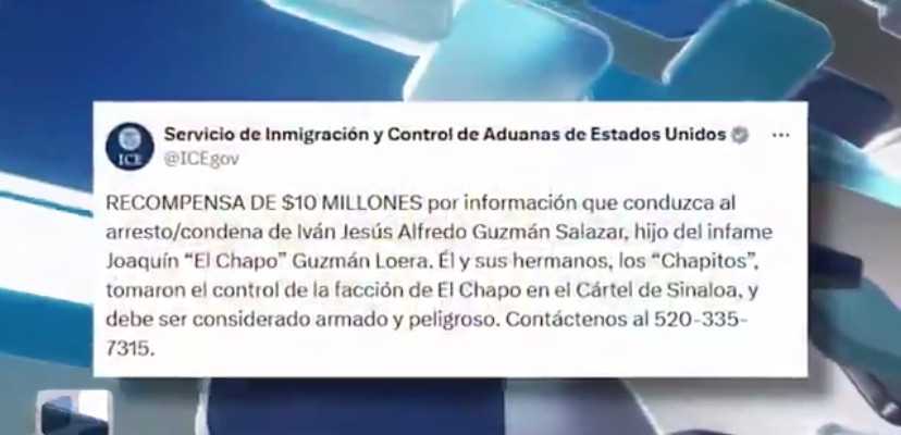Ofrecen 10 MDD por el “cerebro” de Los Chapitos