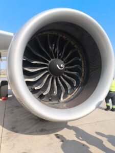 Avión choca con un buitre y aterriza de emergencia en Madrid